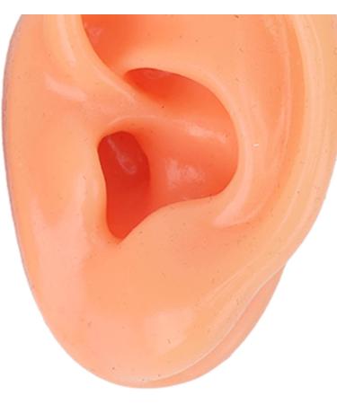 Silicone Human Artificial Ear Model for Hearing Aids and Earphones Display - Buy Online on GoSupps.com