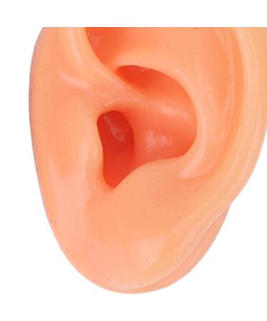 Silicone Human Ear Model for IEM Earphones Display - Perfect for Lecturing - Buy Online on GoSupps.com