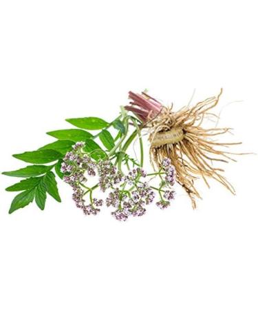 Maui Medicinal - Valerian Root 60 Veggie Capsules - 450 mg per Capsule Organically Grown - Buy Online on GoSupps.com