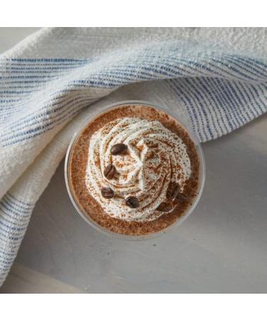 Big Train Blended Ice Coffee Mocha 3.5 Pound - Buy Online on GoSupps.com
