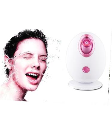 BIUDECO 1pc Facial Care Steamer Portable Face Steamer Portable Steamer Facial Spa Steamer Hair Steamer - Buy Online on GoSupps.com