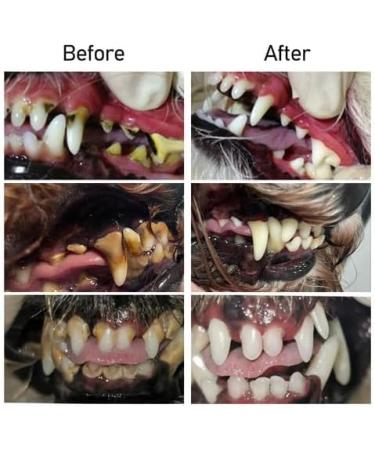 Pet Oral Repair Gel Pet Brush Free Oral Gel for Pets Pet Oral Restoration Whitening Gel Eliminate Bad Breath Targets Tartar Without Brushing Pet Breath Freshener Gel Care Cleaner (4pcs) - Buy Online on GoSupps.com