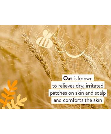 Babo Botanicals Fragrance-Free 3-in-1 Baby Wash & Shampoo 15 fl. oz. - Vegan, Organic Shea Butter, Coconut Oil, Calendula & Oat - EWG Verified - Buy Online on GoSupps.com