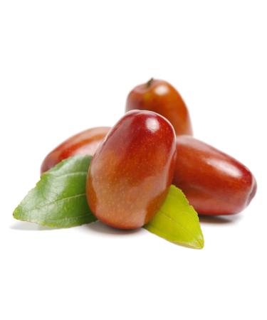 HalalEveryDay Jojoba Oil 32 Oz | 100% Pure | Golden | Cold Pressed Unrefined Oil | Moisturizer for Face Skin Body and Nails - Buy Online on GoSupps.com