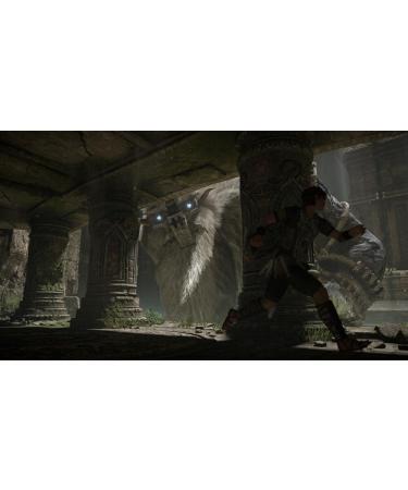 Buy Noname Shadow of the Colossus - International Shipping Available | Best Price & Fast Delivery - Buy Online on GoSupps.com