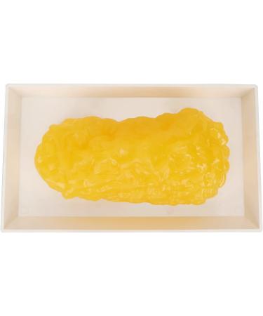 Jauarta Human Body Fat Replica 1lb Human Fatty Tissue Demonstration Model for Nutritionist Science Course - Buy Online on GoSupps.com