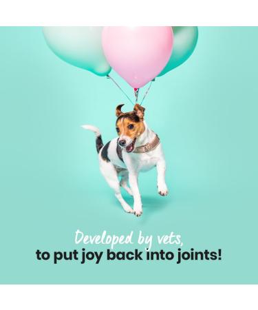 Pooch & Mutt - Daily Joint Care Supplement for Large Dogs 230g Large Dogs 230g (Large Dogs) - Buy Online on GoSupps.com
