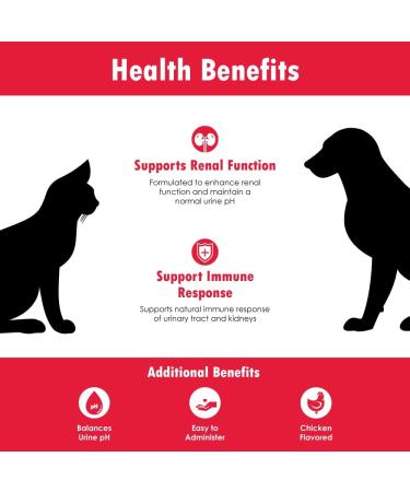 HealthyPets Renakitin Nutritional Supplement for Dogs & Cats - Kidney Support & Immune System Boost - 180g Red (RENAKIT0731) - Buy Online on GoSupps.com
