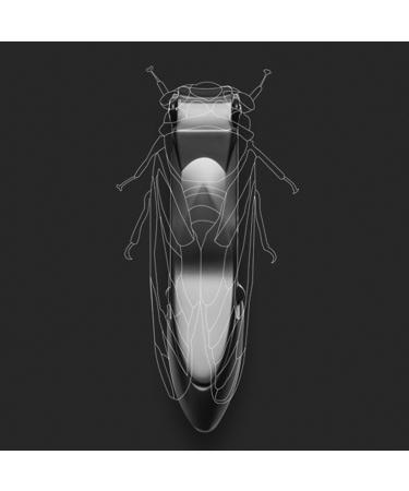 For Women Stainless Steel Ergonomic Clippers Nail Cutter Splash-proof Home Use in 5 Colors Toenail and Fingernail - Buy Online on GoSupps.com