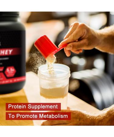 Buy Silverback Whey Protein (Vanilla) - Premium International Shipping for Fitness Enthusiasts - Buy Online on GoSupps.com
