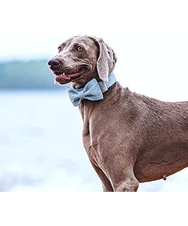 Dogwong Comfortable Adjustable Dog Collar with Removable Fly - Blue Pet Collar for Small to Medium Dogs - Perfect Gift for Girls | X-Small (Pack of 1) - Buy Online on GoSupps.com