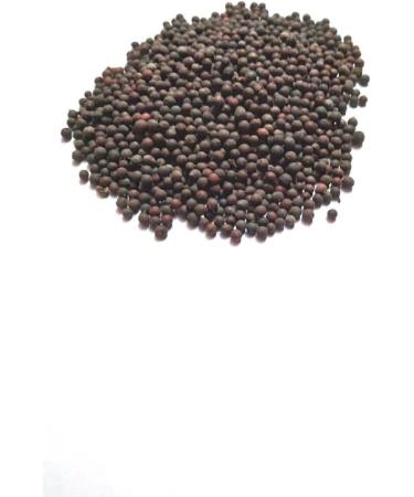 vinarghya Vidang/Organic Vavding/Vizalari/Amogha/Baobadang/Ambati/Vayuvidangam/Embelia Ribes/False Black Pepper - 100g - Buy Online on GoSupps.com
