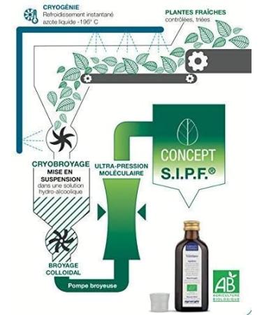French Organic Blackcurrant 100 ml | Drinking Solution for Fresh Plants | Joint Care Joint Mobility Joint Pain | Certified AB Certified France | Laboratory SYNERGIA - Buy Online on GoSupps.com