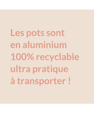 Najjar Laboratory Organic solid toothpaste with charcoal and essential mint oils without fluoride COSMOS ORGANIC 33 g BEROIA - Buy Online on GoSupps.com