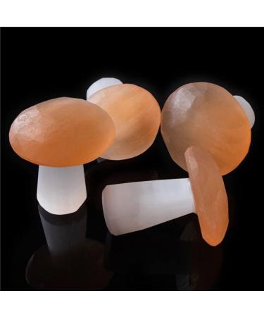 Natural Selenite Mushroom Figurine Hand Carved Quartz Polished Mushroom Crystal Stone Crafts Home Decoration Gift Full of Texture Rose - Buy Online on GoSupps.com