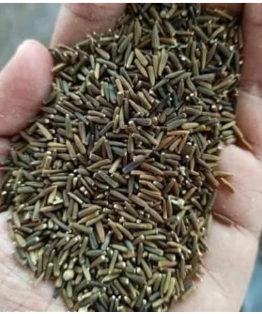 Bitter Cumin Kalijiri Kali Jeeri Kashmiri Jeera Shahi Jeera Cuminum Nigrum 100 g vinarghya Kadu JIRA Kadu Jeera Kali JIRA GMO Free Gluten Free pesticides Free
