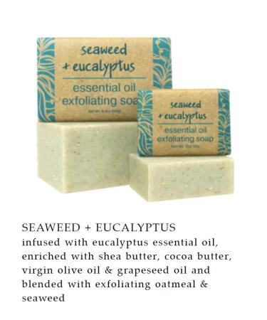 Buy Greenwich Bay Trading Co Seaweed & Eucalyptus Exfoliating Bath Bar Soap Set of 2 - 8.6 oz Each | International Shipping Available - Buy Online on GoSupps.com