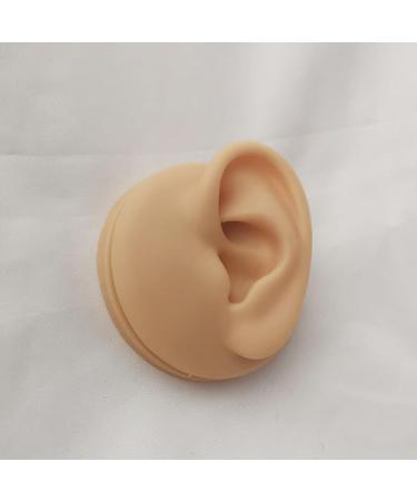 WEHOMY Silicone Left Ear Model for Teaching Instruction - Realistic 3D Display Tool Skin Color - Buy Online on GoSupps.com