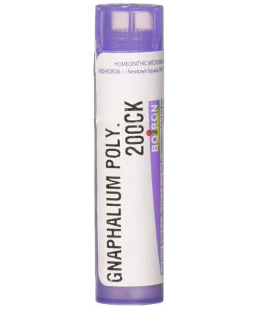 Gnaphalium Poly 200k