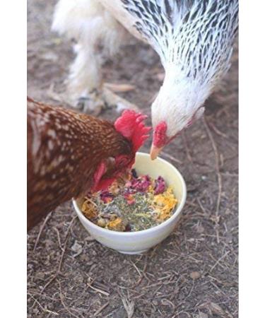 Pampered Chicken Mama 1.25 lb Backyard Chicken Treats - Natural Feed for Great Eggs - High Calcium Hen Supplement (10 oz) - Buy Online on GoSupps.com