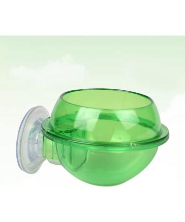 Mipcase 2pcs Tools Tortoise Water Dish Reptile Supplies Pet Stuff Reptile Feeder Sucker Turtle Pet Supplies - Buy Online on GoSupps.com