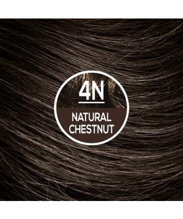 Naturtint Permanent Hair Color 4N Natural Chestnut - 5.6 fl oz | Ammonia-Free, Long-Lasting Color - Buy Online on GoSupps.com