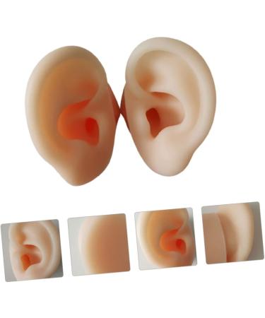 Silicone Ear Models Set - Practice Tools for Ear Picking & Cleaning | Auditory Meatus Display - Buy Online on GoSupps.com