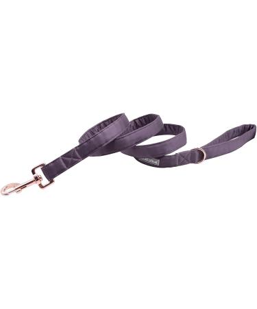 Lionet Paws Dog Leash - Premium Silk Leash for Small Medium & Large Dogs | Matching Collars in Purple for Boys & Girls - Durable & Stylish (Pack of 1) - Buy Online on GoSupps.com
