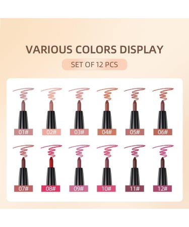  SONGVISON Set of 12 lip pencils with a matte waterproof and long-lasting formula nude and smudge-proof colors (set of 12 units) - Buy Online on GoSupps.com