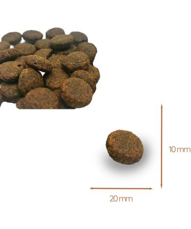 Wildfang Dry Dog Food - Grain Free Dog Food - Salmon with Trout Sweet Potato and Asparagus | Ideal for Large Dogs (2kg) - Buy Online on GoSupps.com