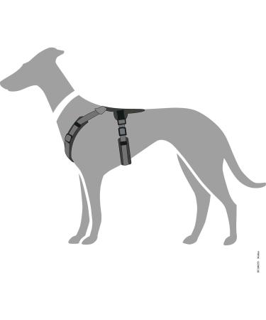 HUNTER Harness Maldon 53-71/M Black/Grey - Premium Adjustable Dog Harness for Comfortable International Shipping - Buy Online on GoSupps.com