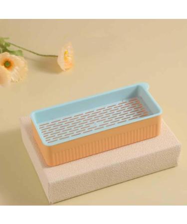 Hydroponic Cat Grass Planter Kit Cat Grass for Indoor Cats Soil Growing Catnip Cat Grass with Planting Box for Indoor Household (Blue Orange) - Buy Online on GoSupps.com