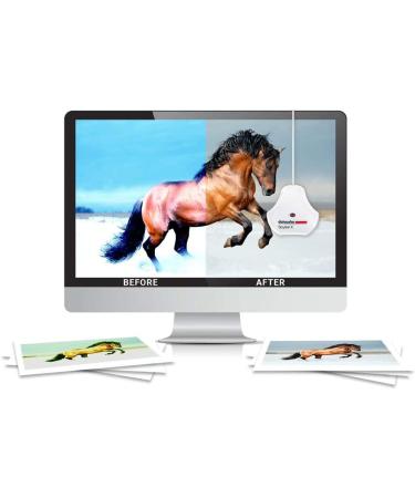 Datacolor Spyder X Studio Suite - Precision Photo Tools for Capture to Print - Buy Online on GoSupps.com