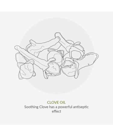 Green People for Men No.1 Exfoliating Face Scrub 100ml | Natural & Organic Men s Facial Exfoliator | Brightening Deep Cleansing Scrub for Men | Paraben Free & Ethanol Free | Cruelty Free & Vegan - Buy Online on GoSupps.com