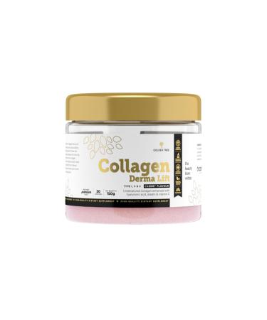 GOLDEN TREE Golden Tree Collagen Derma Lift Collagen Types I V and X with hyaluronic acid vitamin C and elastin Cherry flavor 150 g