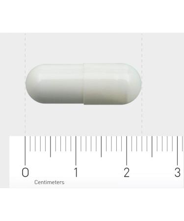 L-Glutamine 500 mg - 60 Capsules | Premium E-Commerce Supplement - Fast International Shipping - Buy Online on GoSupps.com