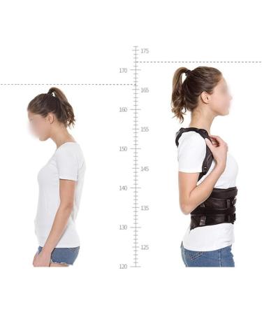 Universal Posture Corrector & Waist Trainer - Adjustable Back Brace for Clavicle Support XL | Stop Slouching & Hunching - DFHBFG - Buy Online on GoSupps.com