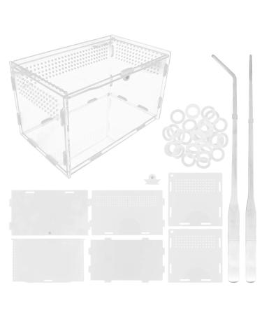 Winterworm Acrylic Reptile Feeding Box Transparent Breeding Box Terrarium with 2 Pcs Straight and Curved Tweezers for Pet Insect Spider Crickets Snails Hermit Crabs Lizard (Large(20x12x12cm))