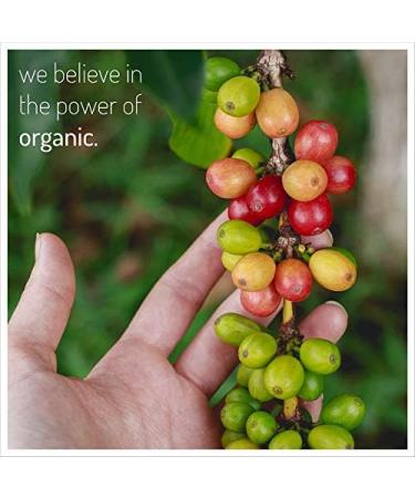 Santo Domingo Dominican Whole Roasted Bean Coffee 1 lb 453.6 g (Pack of 1) - Buy Online on GoSupps.com