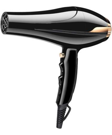 Hair Dryer Professional Hair Dryer 1800W Powerful Fast Blow Dryer Quick Drying with Concentrator 2 Speed 3 Heat Settings Cool Shot Button Fast Drying Time and Low Nois Lightweight for Travel Small - Buy Online on GoSupps.com