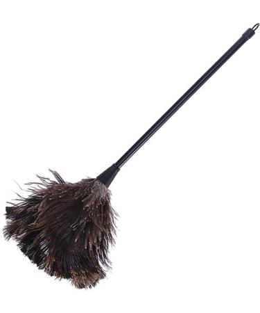 W-LOVNEST Ostrich Duster Cleaning Brush with Long Handle Computer Dust Removal for Home Bedroom Dormitory Keyboard for Cleaner Brush Tool - Buy Online on GoSupps.com