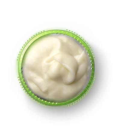 HIGH ALTITUDE ORGANICS AntioxiTEA TM MULTI-TEA Antioxidant Facial Cleanser for Normal to Dry/Mature Skin - 4oz (120ml) - with MSM DMAE Vitamin A&C Esters Pro V-B5 - Buy Online on GoSupps.com