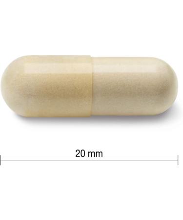 Jamieson Glucosamine Regular Strength 500 mg 360 Count (Pack of 1) - Package May Vary - Buy Online on GoSupps.com