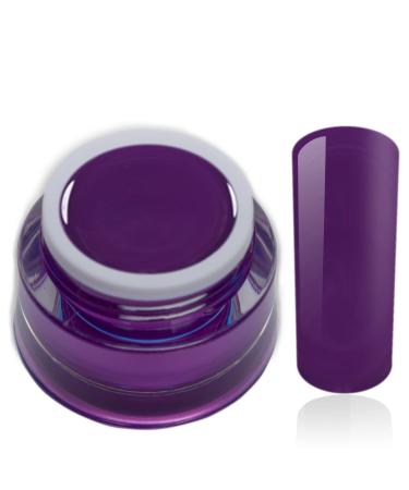 Color Gel Velvet Purple Uv Led Nail Gel Studio Quality Color Gel RM Beautynails 1 Pack (1x 5ml)