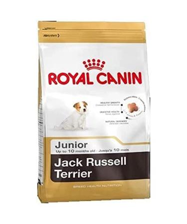 ROYAL CANIN/Jack Russel Terrier Junior 3 kg bag Kibble for Jack Russel Junior puppies from 2 to 10 months