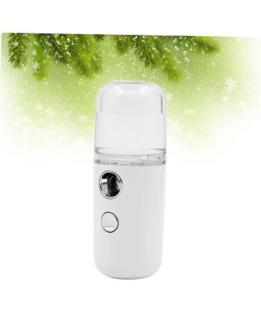 DOITOOL 1 Pc brumisateur facial pulv risateur nanom trique mini pulv risateur facial mini-humidificateur humidificateur d'air humidificateur portatif vaporisateur outil Maruko blanche 10cmX4cm Blanc - Buy Online on GoSupps.com