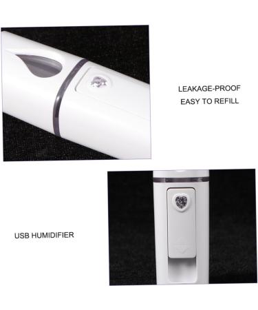 BIUDECO 1pc Nano Mist Sprayer Mini Face Humidifier Mini Dollhouse Food Resin White Face Steamer Cosmetic 10.5*3cm White - Buy Online on GoSupps.com