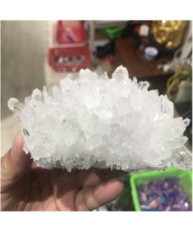 Natural White Crystal Cluster Original Stone degaussing Purification Shock Pendulum Beautiful Crystal Cluster (Size : 400-500g) - Buy Online on GoSupps.com