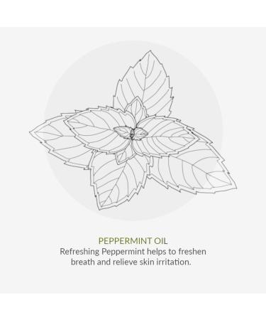 Buy Green People Peppermint and Aloe Vera Toothpaste 50 ml - Fresh Breath & Natural Oral Care | International Shipping Available - Buy Online on GoSupps.com