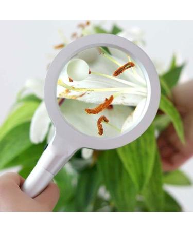 10 Times Hand-Held Magnifying Glass Led20 Times with Lamp Elderly Hd Optical Lens Reading Reading Lofty Ambition - Buy Online on GoSupps.com